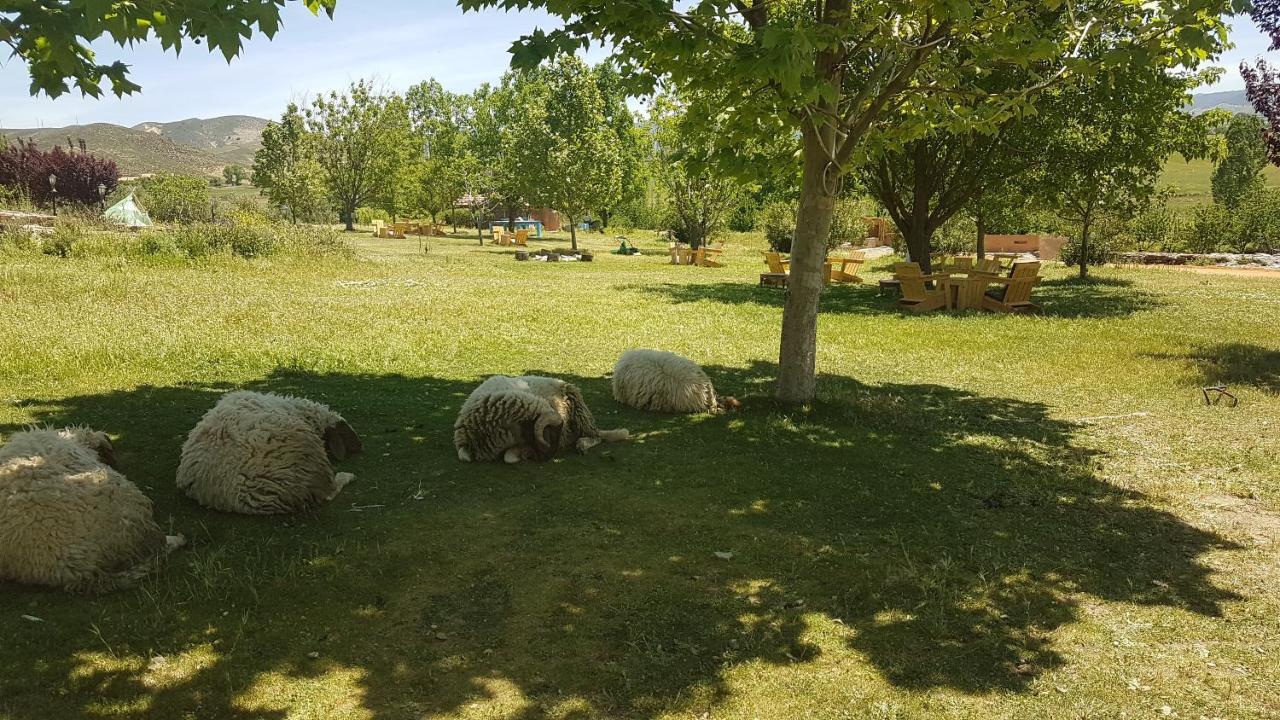 Ferme D'Hote La Vallee アズルー エクステリア 写真